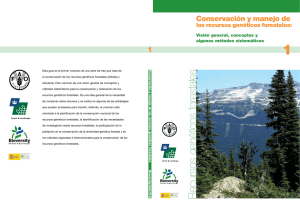 Conservación y manejo de los recursos genéticos forestales: Visión