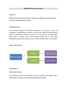 Reproducción Sexual Asexual - ceavirtual.ceauniversidad.com