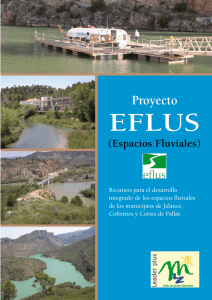 Proyecto EFLUS