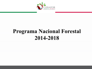 Programa Nacional Forestal PRONAFOR