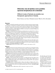 Diferentes vías de lipólisis como posibles opciones terapéuticas de