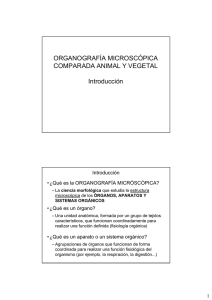 Organografía Microscópica: Generalidades
