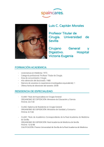 CV_Luis Capitán
