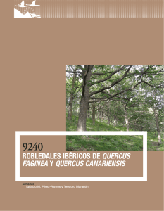 robledales ibéricos de Quercus faginea y Quercus