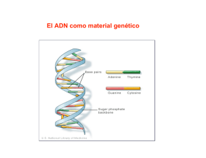 El ADN como material genético