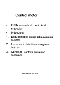 Control motor