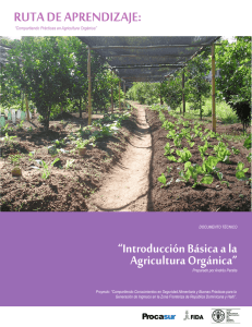 “Introducción Básica a la Agricultura Orgánica”