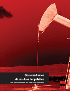 Biorremediación de residuos del petróleo