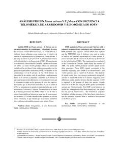 Análisis FisH en Pisum sativum y P. fulvum con secuenciA