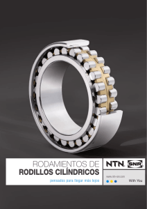 rodamientos de rodillos cilíndricos - the site of NTN-SNR