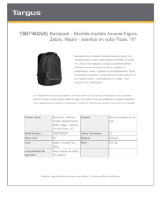 TSB71002US| Backpack - Mochila modelo Ascend Figura Zebra