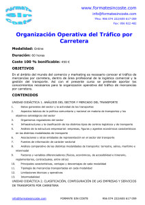 Organización Operativa del Tráfico por Carretera