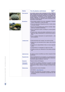 Uso de plantas autóctonas PE 1 - Green Building Council España