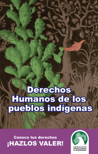Derechos Humanos de los pueblos indígenas Derechos