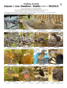 Especies de Aves, Mamíferos y Reptiles sujetos a TRÁFICO