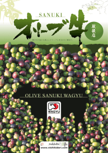 olive sanuki wagyu