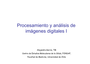Procesamiento y análisis de imágenes digitales I