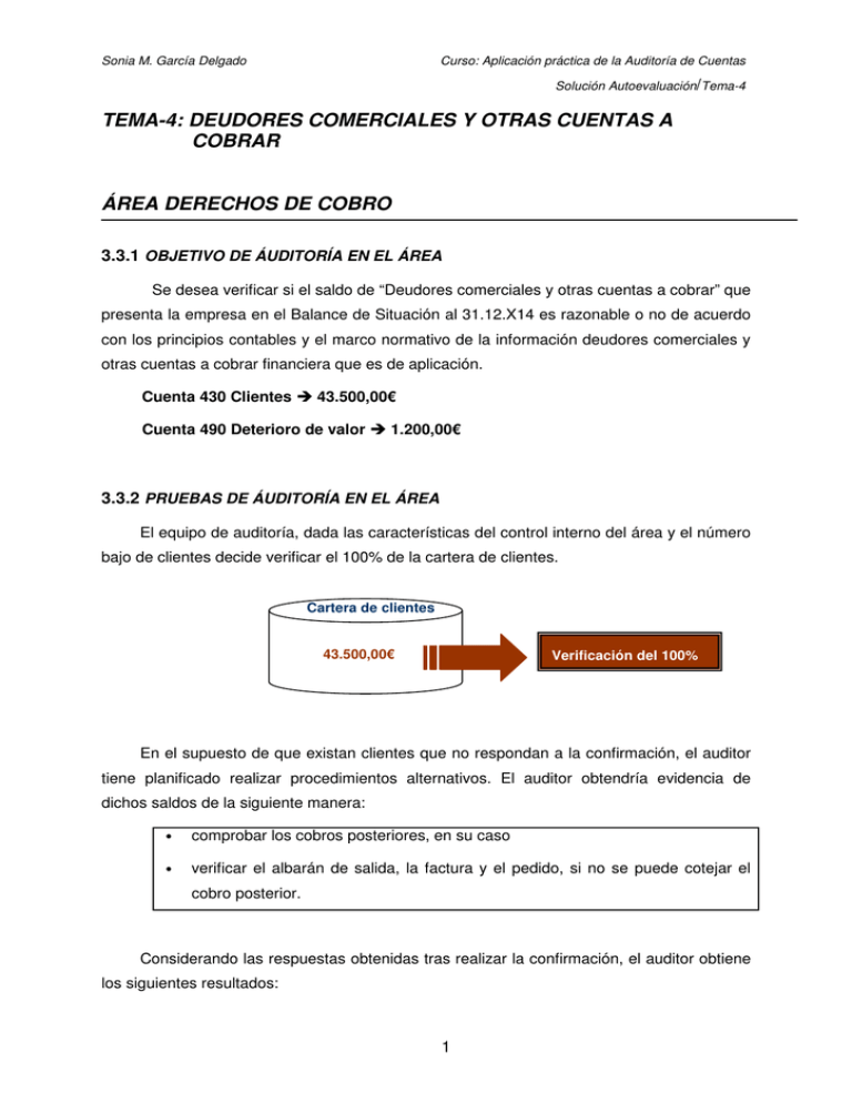 Tema 4 Deudores Comerciales Y Otras Cuentas A Cobrar área 3477