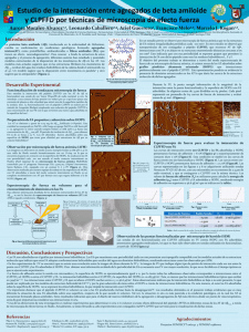 Page 1 Estudio de la interacción entre agregados de beta amiloide