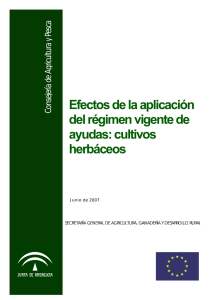 cultivos herbáceos - Junta de Andalucía