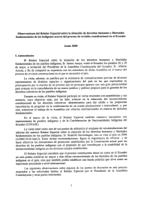 Observaciones del Relator Especial sobre la situación de