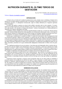 nutrición durante el último tercio de gestación