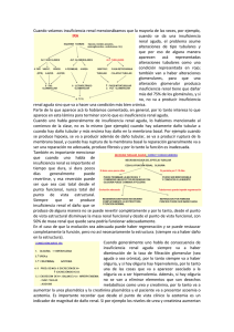 Fisiologia Renal 3 (2)