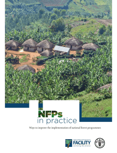 NFPs in practice - Food and Agriculture Organization of the United