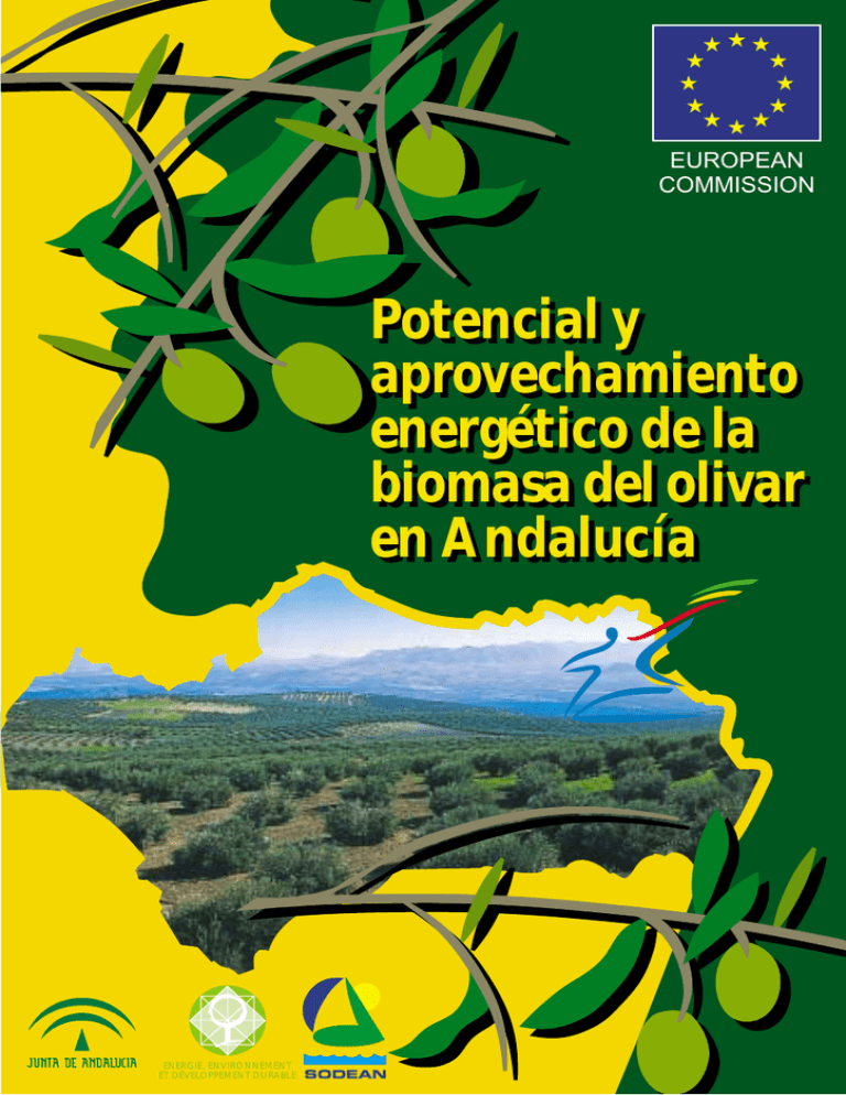 Potencial Y Aprovechamiento Energ tico De La Biomasa