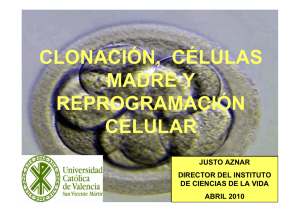 presentación de Clonación, células madre y reprogramación celular
