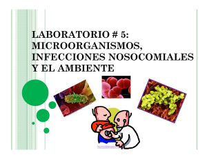 laboratorio # 5: microorganismos, infecciones nosocomiales