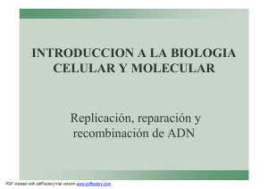 3-Replicacion reparacion y recombinacion de ADN