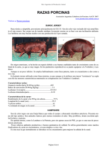 Razas porcinas - Produccion animal