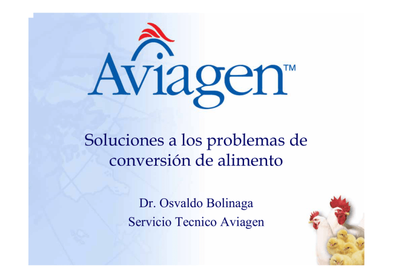 Soluciones A Los Problemas De Conversi n De Alimento Soluciones A Los Problemas De Conversi n De Alimento