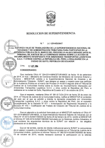 R. Superintendencia Nº 317-2014