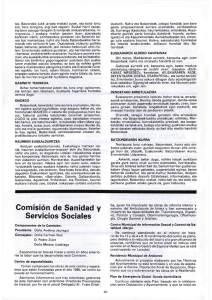 Comisión de Sanidad y Servicios Sociales / Osasun eta Gizarte