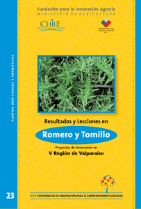 Resultados y Lecciones en Producción de Romero y Tomillo