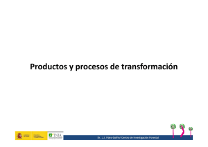 Productos y procesos de transformación