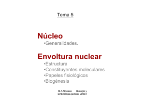 Tema 5 Nucleo Envoltura