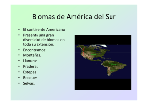 Biomas de América del Sur