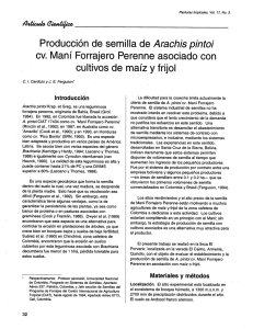 Producción de semilla de Arachis pintoi cv. Maní Forrajero Perenne