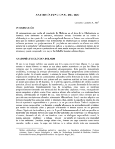anatomía funcional del ojo - Pontificia Universidad Javeriana