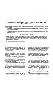 Desarrollo de ovocitos de la piraña Pygocentrus nattereri Kner 1860