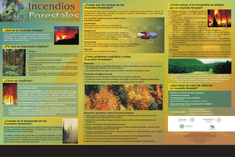 Incendios Forestales