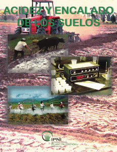 Acidez y encalado de suelos, libro por J Espinosa y E Molina