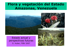 Flora y vegetación del Estado Amazonas, Venezuela