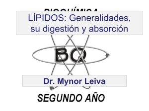 LÍPIDOS - Bioquímica-2°Año USAC Guatemala