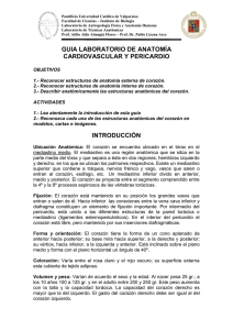 Guía de Laboratorio - Pontificia Universidad Católica de Valparaíso