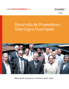Desarrollo de Proveedores: Siderúrgica Huachipato