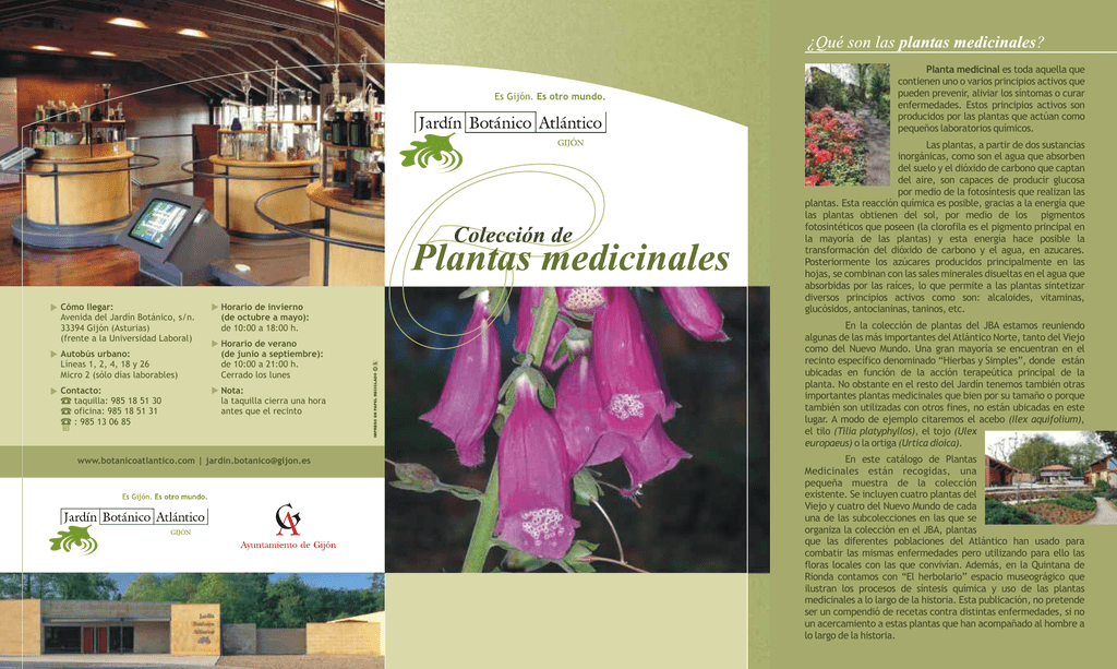 Coleccion De Plantas Medicinales Jardin Botanico